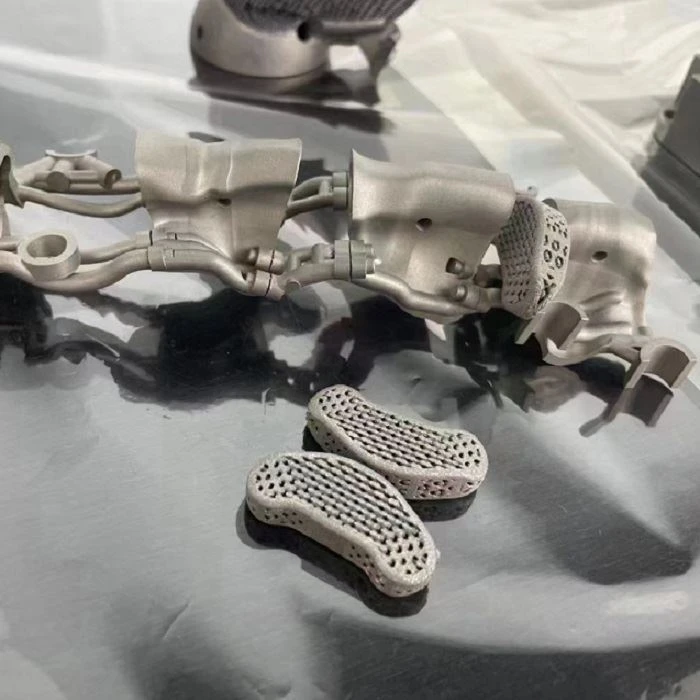 3D spausdintų titano lydinių biomedicininis pritaikymas